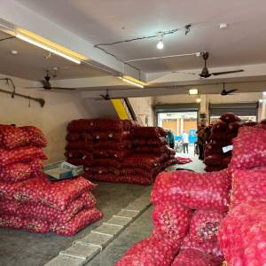 Onion_storage_original