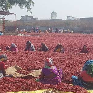 chili_market_1_original