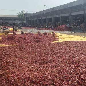 chili_market_original